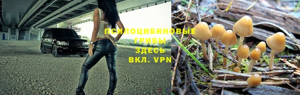 метадон Россошь
