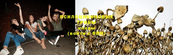 мяу мяу мука Ростов