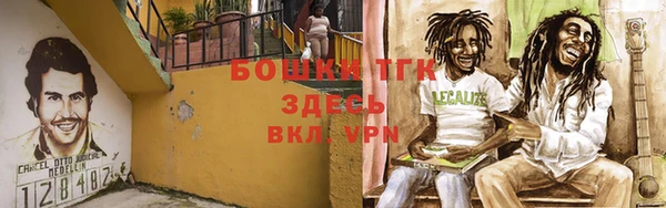 мяу мяу мука Ростов