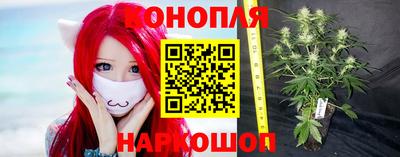прущий лед Тара
