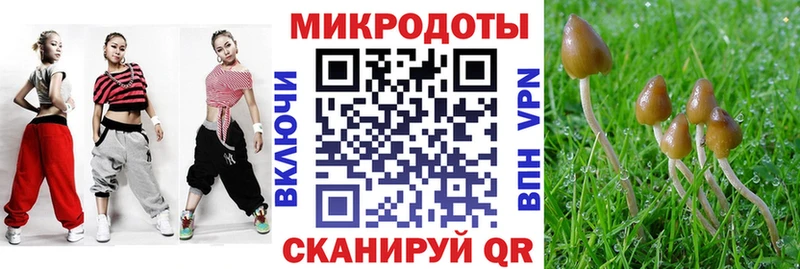 где продают наркотики  Ступино  Галлюциногенные грибы Magic Shrooms 