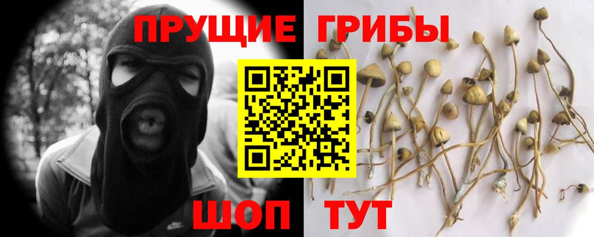 Галлюциногенные грибы Psilocybine cubensis Ступино